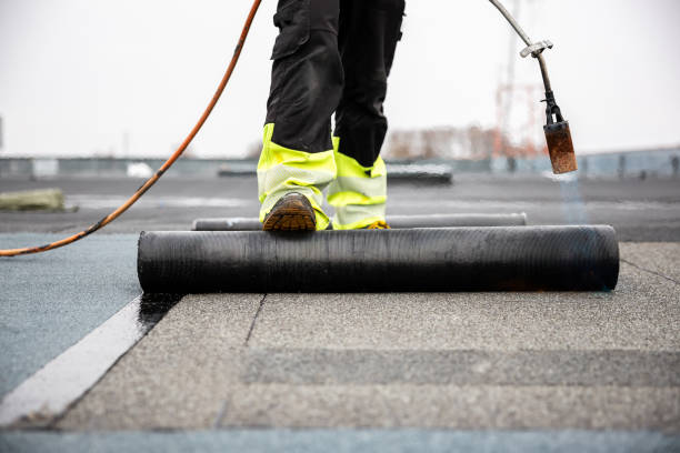 Best Solar Panel Roofing Installation  in Sleepy Eye, MN