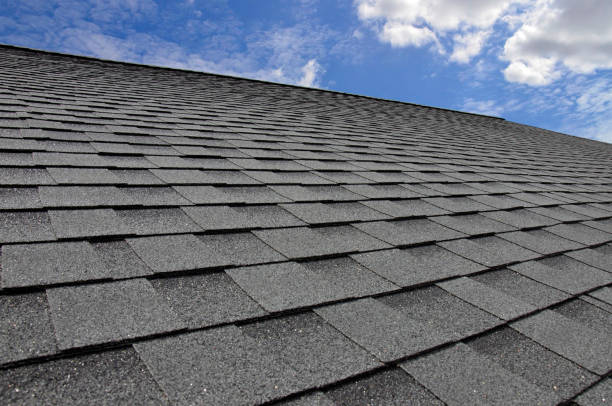 Best Steel Roofing  in Sleepy Eye, MN