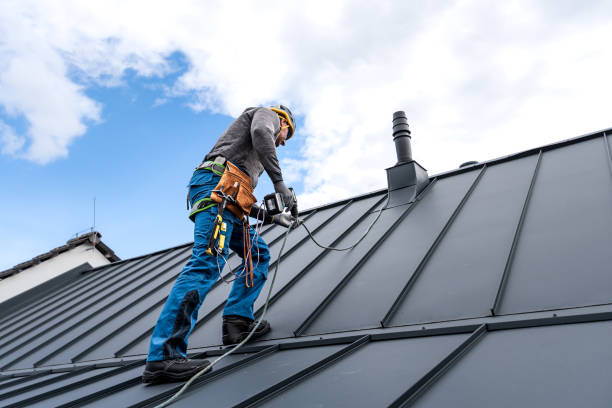 Best Skylight Installation and Repair  in Sleepy Eye, MN